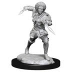 Magic The Gathering - Unpainted Magic Miniatures - Kaya